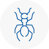 Ant Removals In St Helens